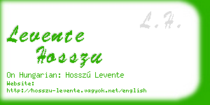 levente hosszu business card